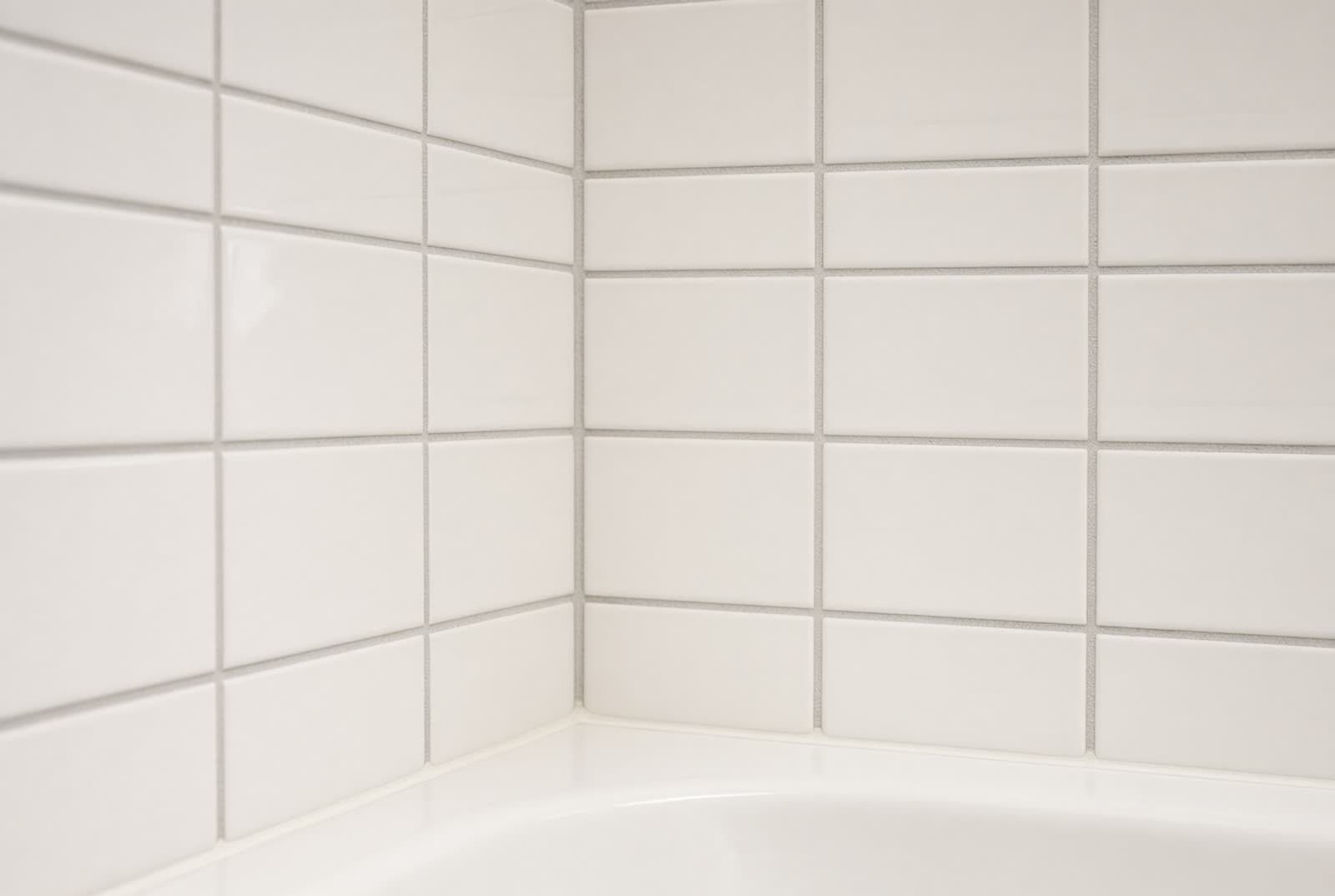 Grout Replacement / Regrouting